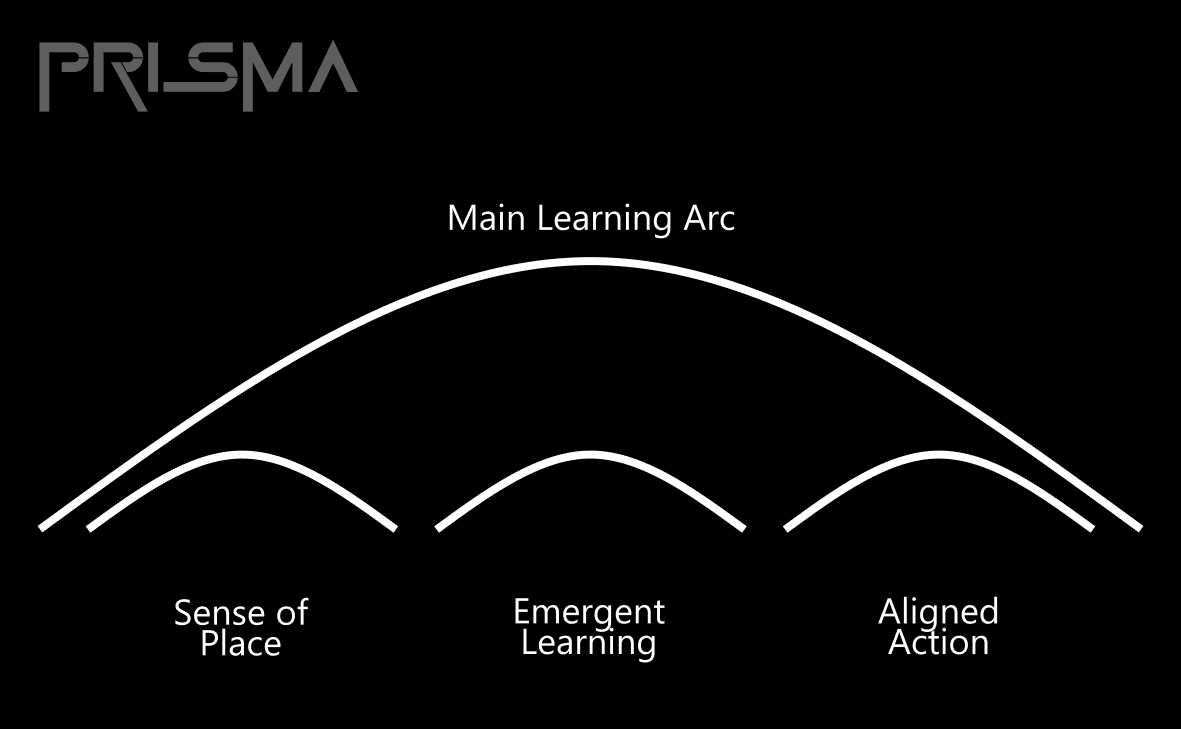learning-arcs.png